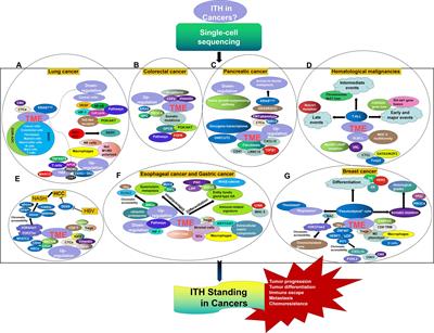 The Single-Cell Sequencing: A Dazzling Light Shining on the Dark Corner of Cancer